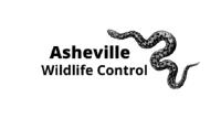 Asheville Wildlife Control image 1